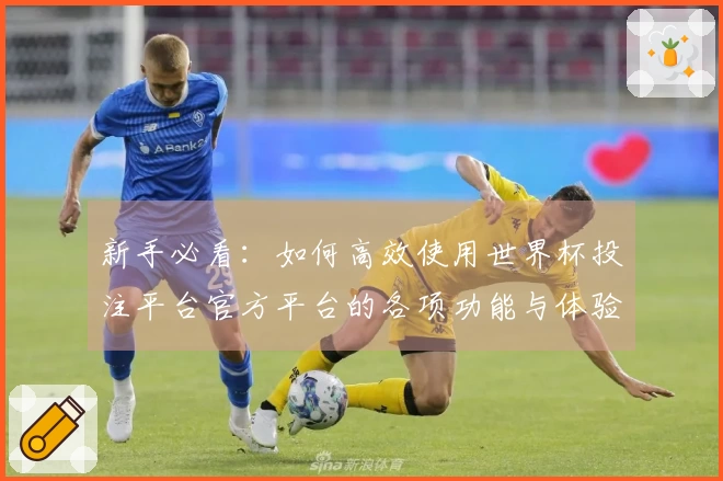 新手必看：如何高效使用世界杯投注平台官方平台的各项功能与体验指南