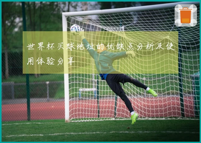 世界杯买球地址的优缺点分析及使用体验分享