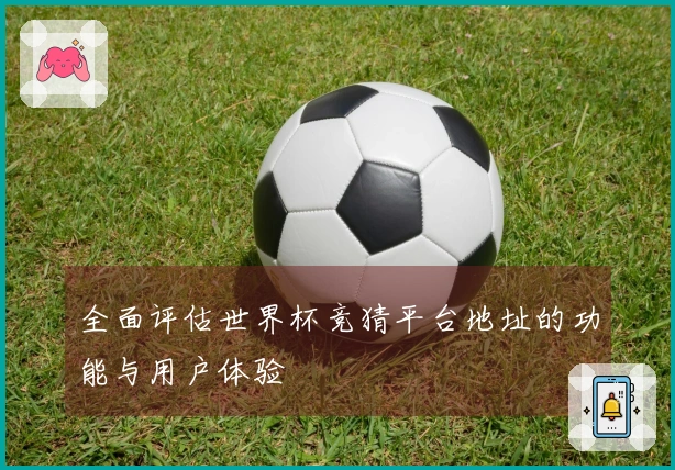 全面评估世界杯竞猜平台地址的功能与用户体验