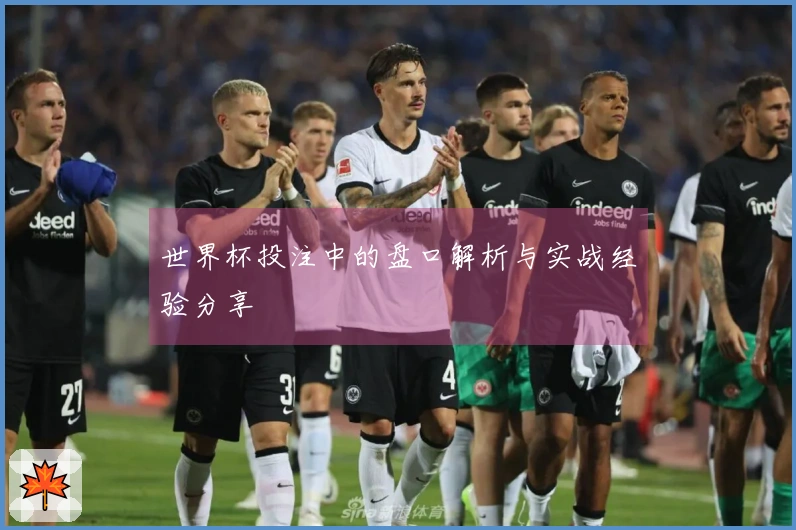 世界杯投注中的盘口解析与实战经验分享