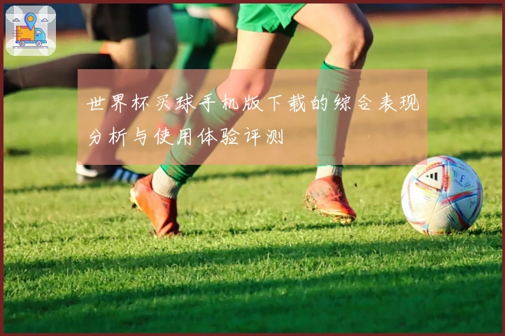 世界杯买球手机版下载的综合表现分析与使用体验评测