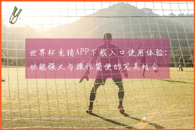 世界杯竞猜APP下载入口使用体验：功能强大与操作简便的完美结合