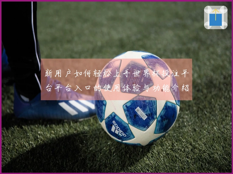 新用户如何轻松上手世界杯投注平台平台入口的使用体验与功能介绍