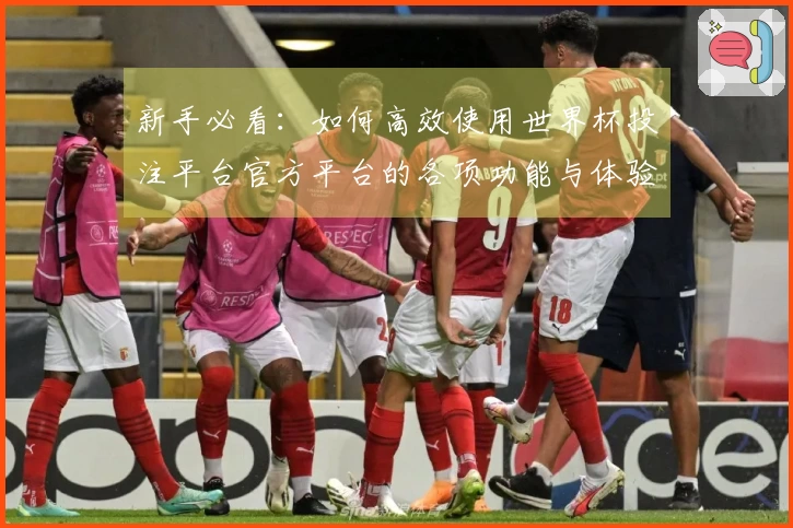 新手必看：如何高效使用世界杯投注平台官方平台的各项功能与体验指南