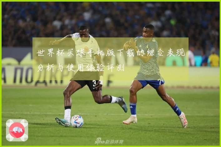 世界杯买球手机版下载的综合表现分析与使用体验评测