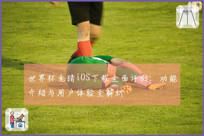 世界杯竞猜iOS下载全面评测：功能介绍与用户体验全解析