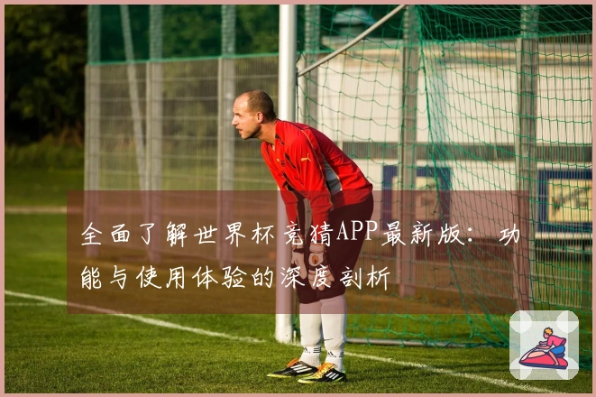 全面了解世界杯竞猜APP最新版：功能与使用体验的深度剖析