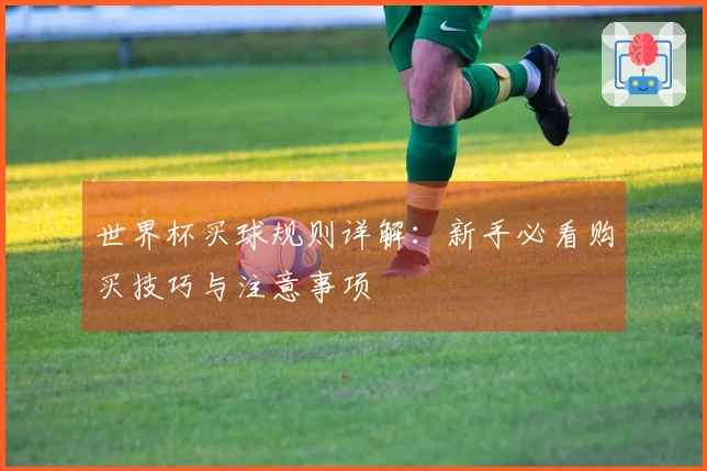 世界杯买球规则详解：新手必看购买技巧与注意事项