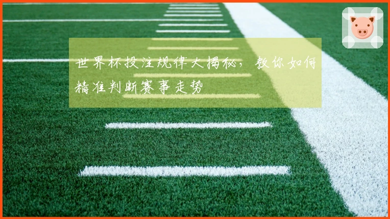 世界杯投注规律大揭秘，教你如何精准判断赛事走势