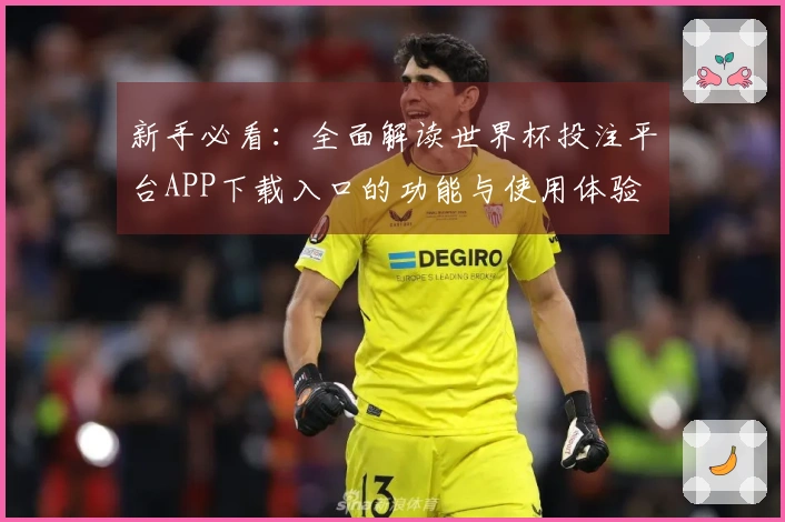 新手必看：全面解读世界杯投注平台APP下载入口的功能与使用体验