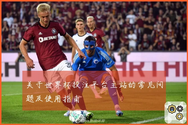 关于世界杯投注平台主站的常见问题及使用指南