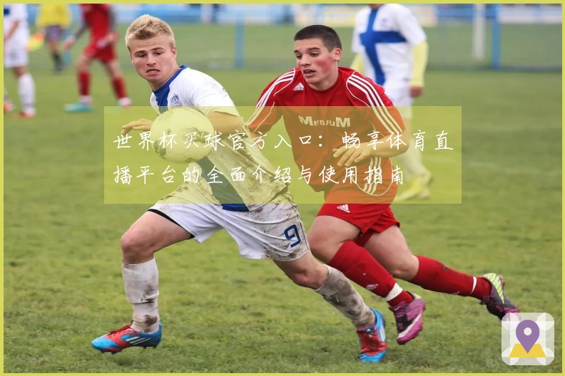 世界杯买球官方入口：畅享体育直播平台的全面介绍与使用指南