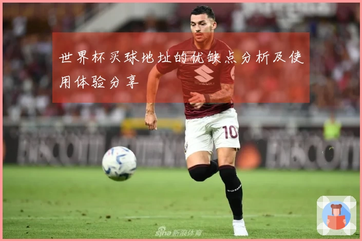 世界杯买球地址的优缺点分析及使用体验分享