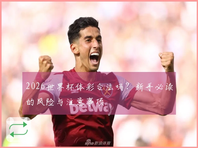 2026世界杯体彩合法吗？新手必读的风险与注意事项