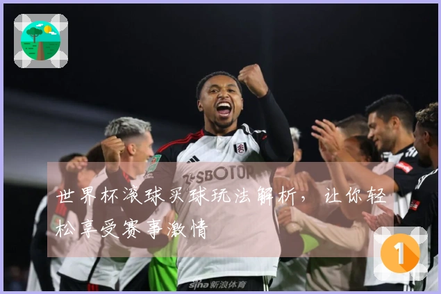 世界杯滚球买球玩法解析，让你轻松享受赛事激情