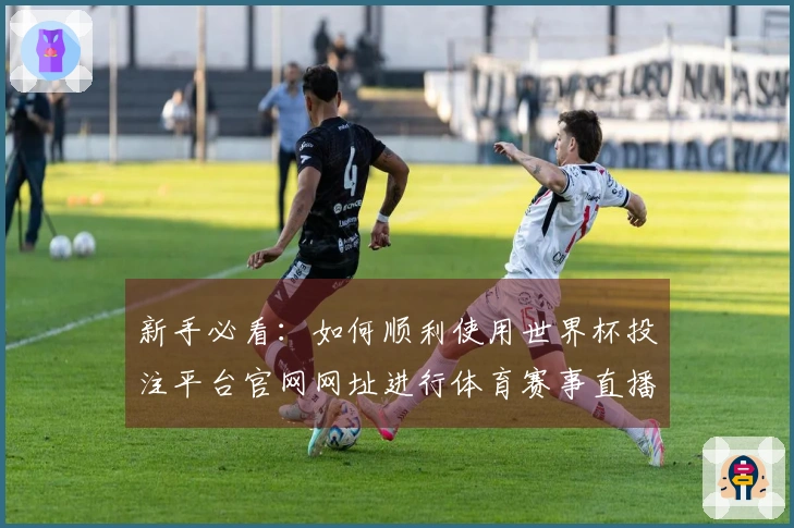 新手必看：如何顺利使用世界杯投注平台官网网址进行体育赛事直播