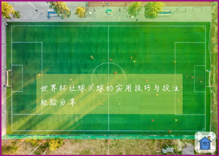 世界杯让球买球的实用技巧与投注经验分享