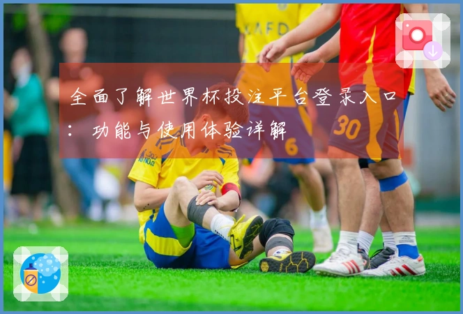 全面了解世界杯投注平台登录入口：功能与使用体验详解