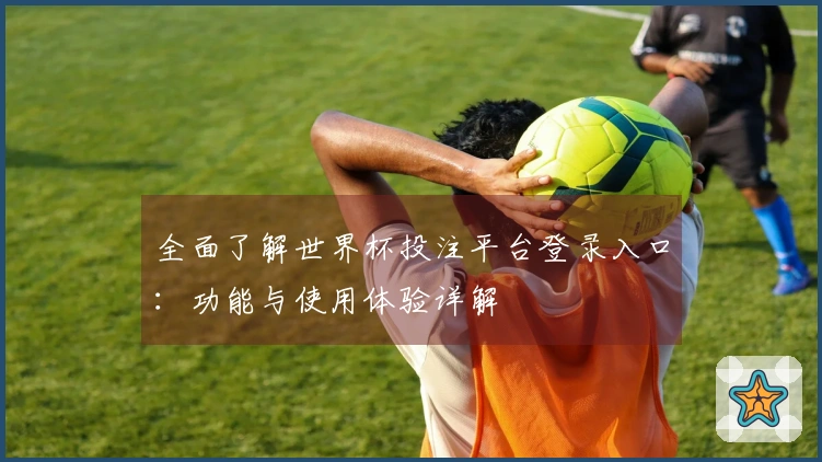 全面了解世界杯投注平台登录入口：功能与使用体验详解