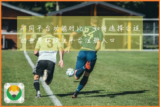 不同平台功能对比：如何选择合适的世界杯投注平台注册入口